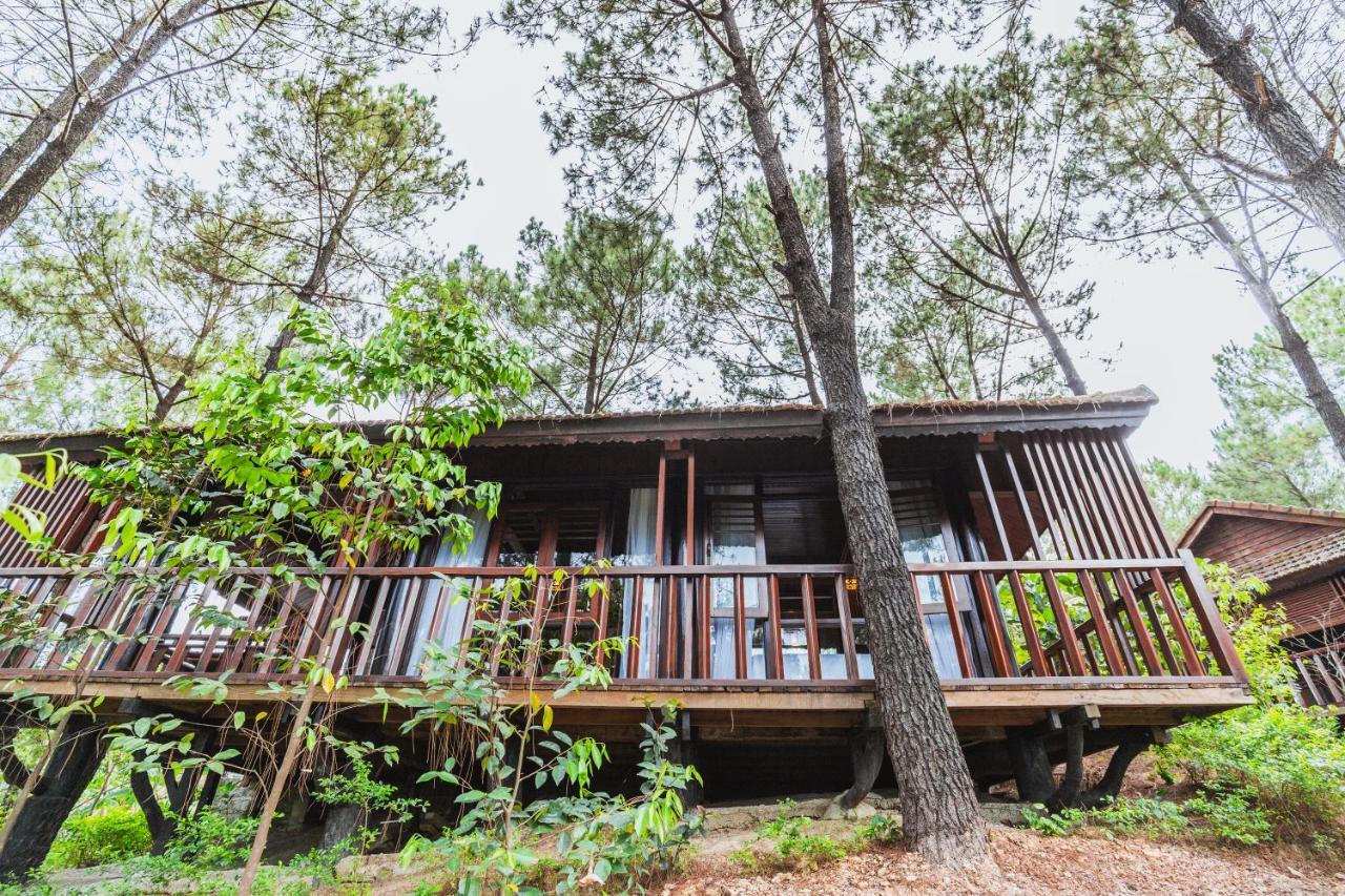 Sankofa Village Hill Resort&Spa Hue Exteriör bild