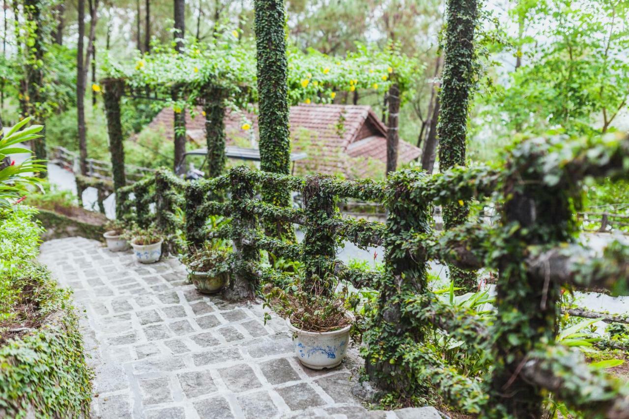 Sankofa Village Hill Resort&Spa Hue Exteriör bild